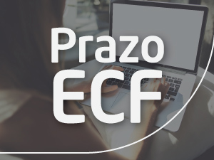 Com o prazo final de entrega marcado para 31 de julho, a Escrituração Contábil Fiscal teve algumas alterações no ano de 2017.